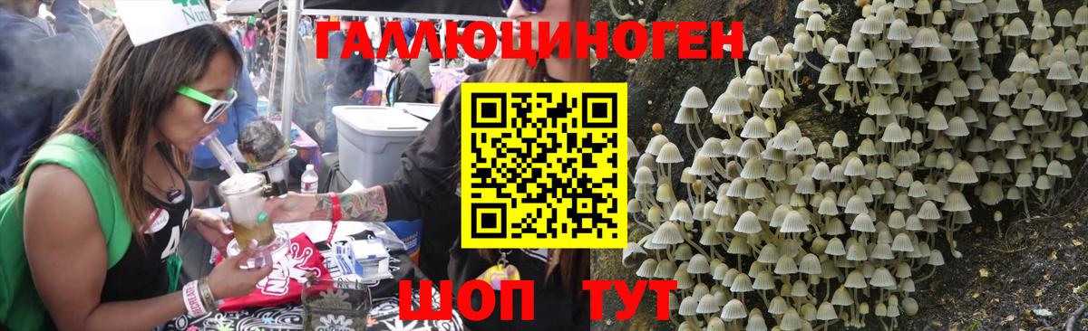 Ишим  Галлюциногенные грибы MAGIC MUSHROOMS  Вход с VPN 